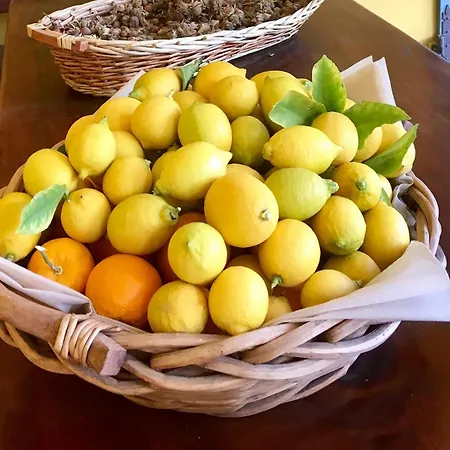 酒店 阿尔菲裡大酒店