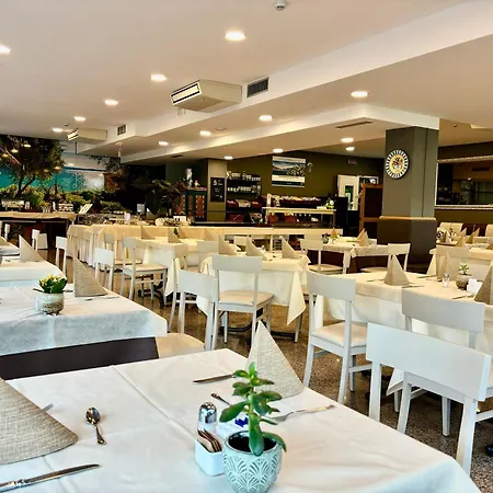 酒店 阿尔菲裡大酒店 西尔米奥奈