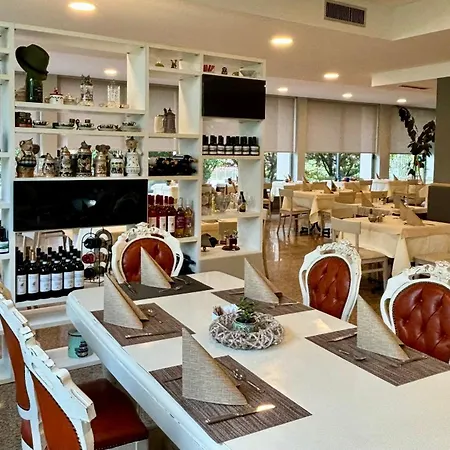 阿尔菲裡大酒店 酒店 3*