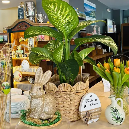 酒店 阿尔菲裡大酒店 西尔米奥奈